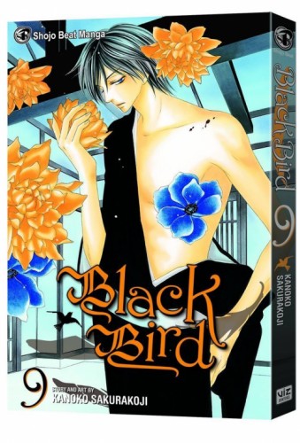 BLACK BIRD GN VOL 09