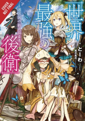 WORLD STRONGEST REARGUARD LABYRINTH DUNGEON NOVEL SC VOL 01