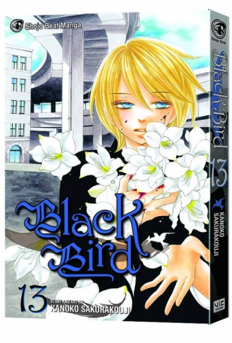 BLACK BIRD GN VOL 13