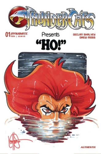 DF THUNDERCATS #1 HOMAGE SKETCH HAESER SGN & REMARKED