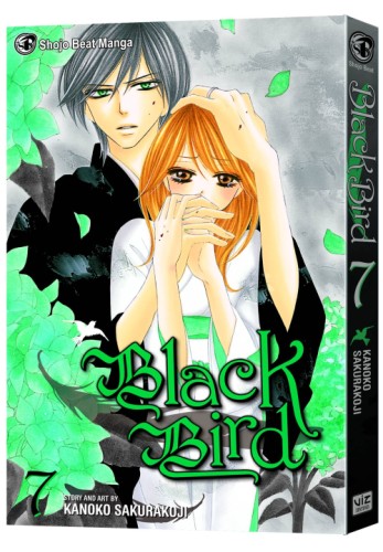 BLACK BIRD GN VOL 07